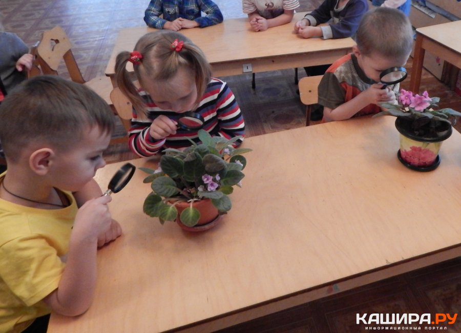 Природа и человек – это части одного целого