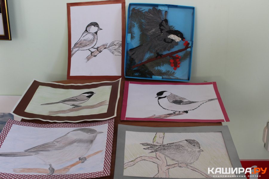 В экологическом центре стартовал конкурс-акция "Сохраним мир птиц"