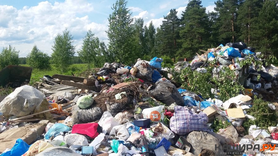 Компания по сортировке отходов в Кокино ответит перед судом за навалы мусора
