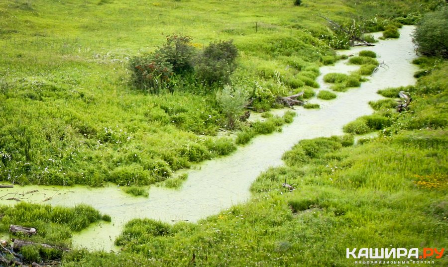 Жители ул. Чичерина жалуются на химическое загрязнение реки