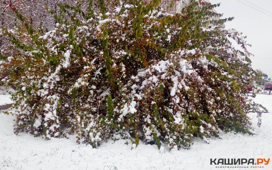 Кашира – среди рекордсменов по количеству выпавшего снега
