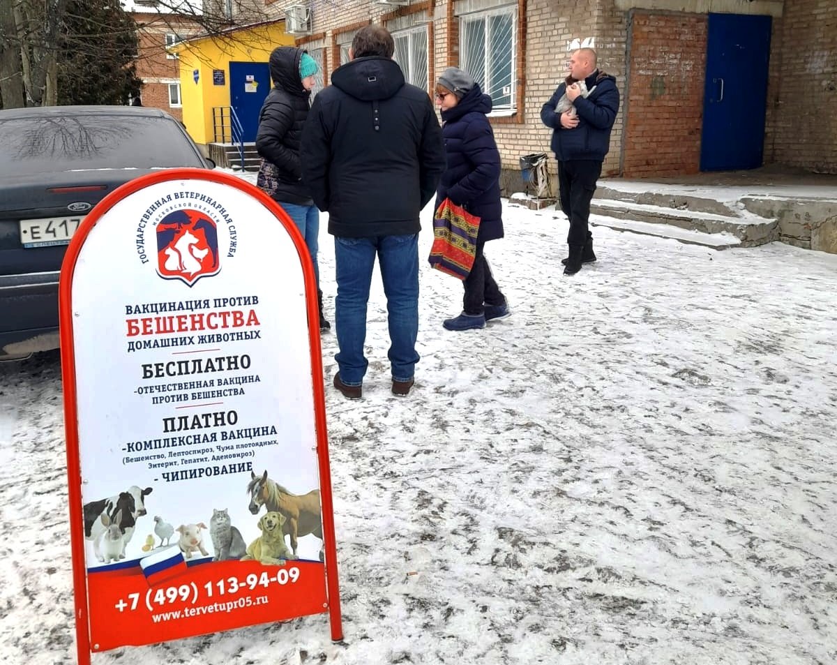 В канун Нового года в городском округе Кашира сняли карантин по бешенству  животных » Информационный портал г. Кашира