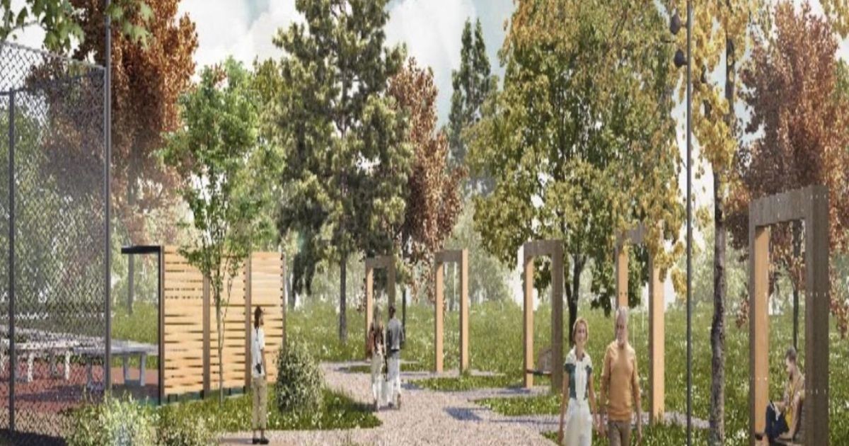В Кашире продолжается второй этап благоустройства лесопарка на улице Гвардейской